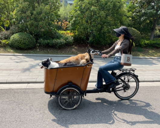 Bike with cart in front online